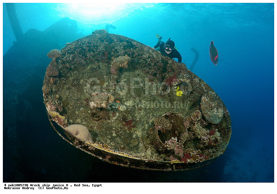 ������ �, ������, ������� ����, �����, ���������� �����, �����, ����������, ���������, ��������, ������, ���, �����, �������, �������������  , ���-������, ���-�������, ���, ���������� �����, ������� ����, ������� ����, ������, ��������, ���������, ����, ����, �������, �����, ����� �� ����, �����, �������, ������ �, ������ ��, ����������, ����������, ����������, ���������� ������, �����������, ������������, �������, ���������������, �������, ��������, ����, �����, ��� �����, ���������, ���������, ���������, ��������� ���, ���, ���-�������, ����, �����, ������