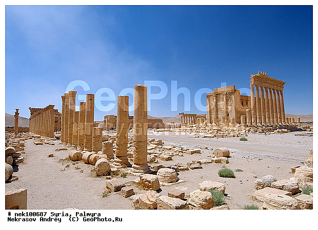 , �������, ������� ������, ������, ������, �����������, �����������, �����������, ��������, �����, ������, ���������������, ����������, �����������, �������������, ���������������, ���������������, ���������������, ���������������, �, ���������, ���������������������, ���������, ������� �����������, ������� ��������, ������� �����������, ������ ������, �������, ������������ ���������, ������������, ������������, �������, ��������, ����������, �����, ��������, ��, ��������, �������� ��������, ������, �����, ��������, ��������� �����������, �������, �����������, �������, ���������, ���������, ���������, ���������, ���������, ������, ������, ������, ������ � �����, �������������, �������������, �������������, �������������