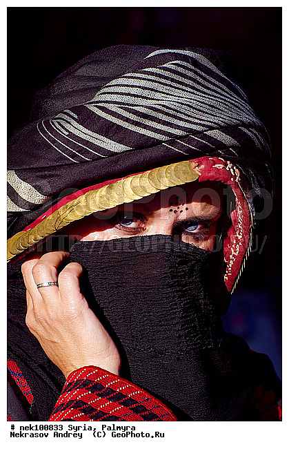 Ancient culture, Roman architecture, ancient architecture, ancient civilisation, antiquities, archeology, architecture, architecture monuments, culture, heritage of the past, historical monuments, history, �����, �������, ������� ������, ������, ������, �����������, �����������, �����������, ��������, �����, ������, ����������, �����������, ���������������, ���������������, ���������������, ���������������, �, ������, ���������, �����, ����� �������, ���������, ������� �����������, ������� ��������, ������� �����������, ������ ������, ������, ������������ ���������, �������, ��������, ����, ������� ���������, ������� ������, ��, �����, ����������, ������, ��������� �������, �������� ��������, ������, �����, ��������� �����������, �������, �������, �������, �����������, ������� �����������, ���������, ���������, ���������, ���������, ���������, ������, ������, ������, ������ � �����, �������������, �������������, �������������, �������������, �������