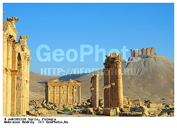�������, ������� ������, ������, ������, �����������, �����������, �����������, ��������, �����, ������, ���������������, ����������, �����������, �������������, ���������������, ���������������, ���������������, ���������������, �, ���������, ���������������������, ���������, ������� �����������, ������� ��������, ������� �����������, ������ ������, �������, ������������ ���������, ������������, ������������, �������, ��������, ����������, �����, ��������, ��, ��������, �������� ��������, ������, �����, ��������, ��������� �����������, �������, �����������, �������, ������� �����������, ���������, ���������, ���������, ���������, ���������, ������, ������, ������, ������ � �����, �������������, �������������, �������������, �������������