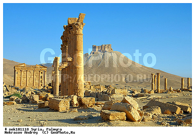 �������, ������� ������, ������, ������, �����������, �����������, �����������, ��������, �����, ������, ���������������, ����������, �����������, �������������, ���������������, ���������������, ���������������, ���������������, �, ���������, ���������������������, ���������, ������� �����������, ������� ��������, ������� �����������, ������ ������, �������, ������������ ���������, ������������, ������������, �������, ��������, ����������, �����, ��������, ��, ��������, �������� ��������, ������, �����, ��������, ��������� �����������, �������, �����������, �������, ������� �����������, ���������, ���������, ���������, ���������, ���������, ������, ������, ������, ������ � �����, �������������, �������������, �������������, �������������