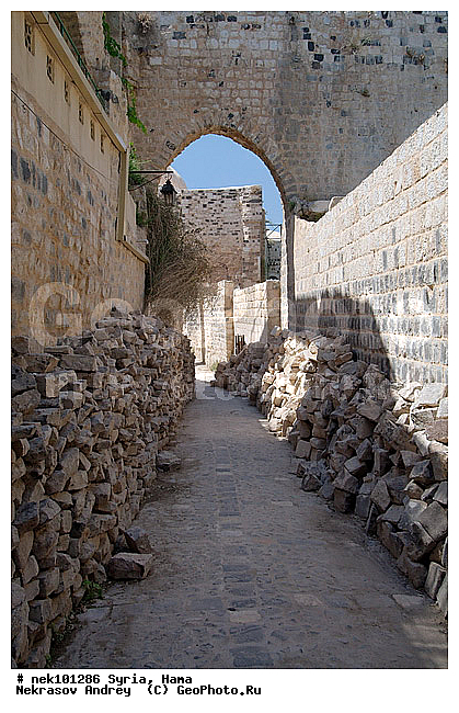 �������, ������� ������, ������, ������, �����������, �����������, �����������, �����, ������, ����, ���������������, ���������������, ���������������, ���������������, �, ���������, �����, ������ ������, ��������, ��, ������, �����, �����, �����, �������, �����������, ���������, ���������, ���������, ���������, ���������, ������, ������, ������, ������ � �����, �������������, �������������, �������������, �������������