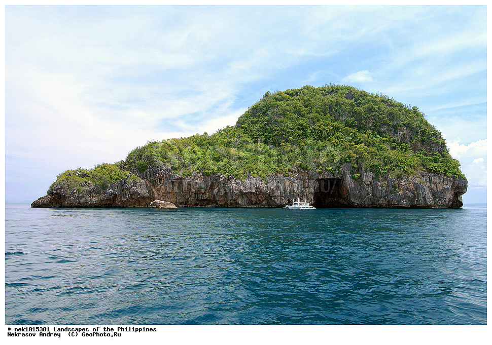 ���������, ������, ������, �������, ����� �����, ����������� ������, ������, �����, ���������, ������, �����������, �����������, ����, �����, �������, ������ 