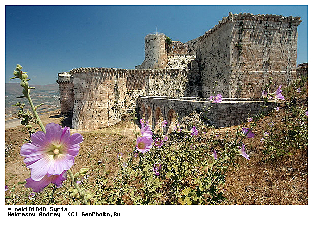 �������, ������� ������, ������, ���� �� �������, �����, ������, ����������, �����������, ���������������, ���������������, ���������������, ���������������, �, ���������, ���������, ������� �����������, ������� ��������, ������� �����������, ������ ������, �����, ������������ ���������, �������, ��������, �����������, ��������, ��, �������� ��������, ������, �����, ��������� �����������, �������, �����������, ���������, ���������, ���������, ���������, ���������, ������ ��������, ������ �����, ������, ������, ���������, ������, ������ � �����, �������������, �������������, �������������, �������������