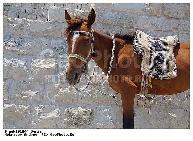 �������, ������� ������, ������, ���� �� �������, �����, ������, ����������, �����������, ���������������, ���������������, ���������������, ���������������, �, ���������, ���������, ������� �����������, ������� ��������, ������� �����������, ������ ������, �����, ������������ ���������, �������, ��������, �����������, ��������, ��, �������� ��������, ������, �����, ��������� �����������, �������, �����������, ���������, ���������, ���������, ���������, ���������, ������ ��������, ������ �����, ������, ������, ���������, ������, ������ � �����, �������������, �������������, �������������, �������������