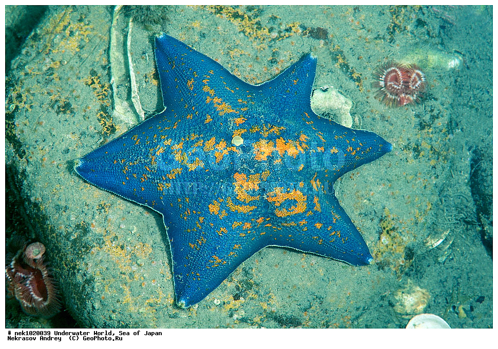 ����� �����, ����� ������, ��������, ��������� ����, ��������, �������� ����, �������� ����, ����, �����, ������, ������������, �����, �����, ��������, ��������, �������, ����, ����, �������, �������, ���, ���������, ���������, ��������� ���, �������, �������������, �������������, ������������, �������� ����, ������� ������, ������� ������, ������, �������, �������������, ���, ������, ��������������