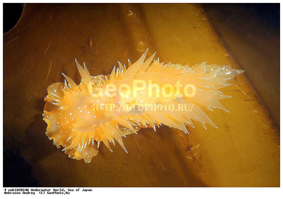 ����� �����, ����� ������, ��������, ��������� ����, ��������, �������� ����, �������� ����, ����, �����, ������, ������������, �����, �����, ��������, ��������, �������, ����, ����, �������, �������, ���, ���������, ���������, ��������� ���, �������, �������������, �������������, ������������, �������� ����