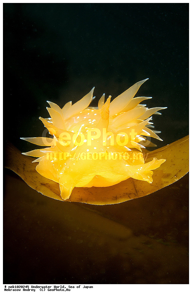 ����� �����, ����� ������, ��������, ��������� ����, ��������, �������� ����, �������� ����, ����, �����, ������, ������������, �����, �����, ��������, ��������, �������, ����, ����, �������, �������, ���, ���������, ���������, ��������� ���, �������, �������������, �������������, ������������, �������� ����