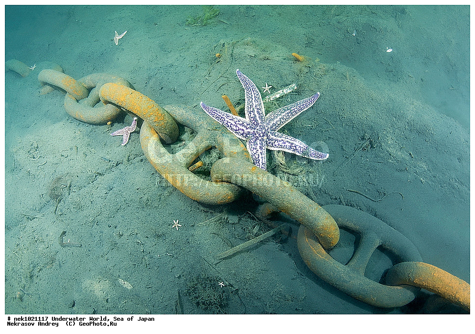 ����� �����, ����� ������, ��������, ��������� ����, ��������, �������� ����, �������� ����, ����, �����, ������, ������������, �����, �����, ��������, ��������, �������, ����, ����, �������, �������, ���, ���������, ���������, ��������� ���, �������, �������������, �������������, ������������, �������� ����, ������� ������, ������� ������