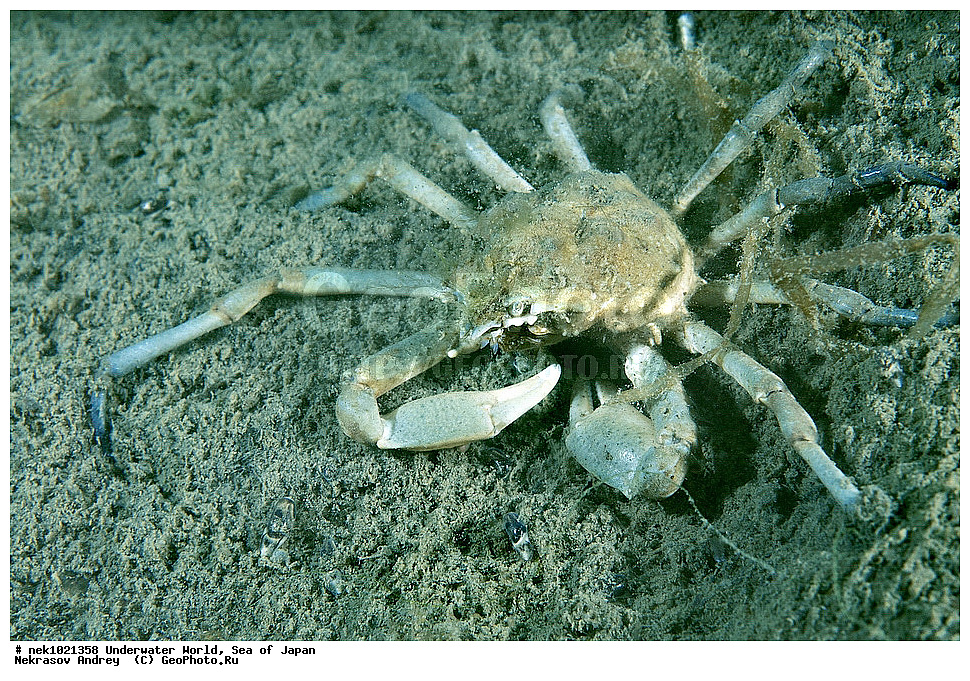 ����� �����, ����� ������, ��������, ��������� ����, ��������, �������� ����, �������� ����, ����, �����, ������, ������������, �����, �����, ��������, ��������, �������, ����, ����, �������, �������, ���, ���������, ���������, ��������� ���, �������, �������������, �������������, ������������, �������� ����