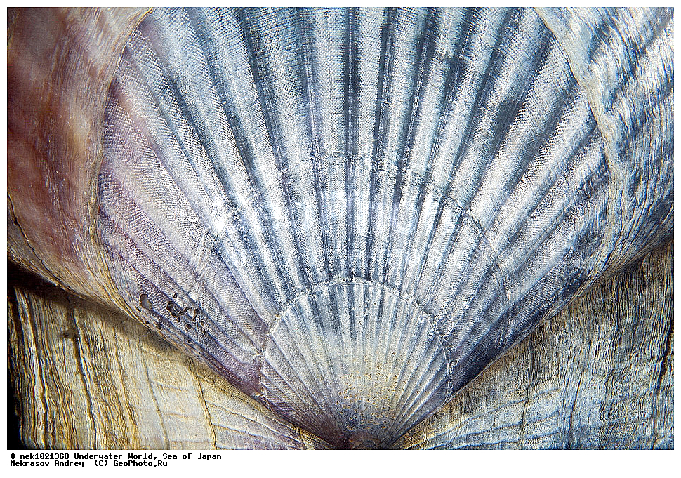 ����� �����, ����� ������, ��������, ��������� ����, ��������, �������� ����, �������� ����, ����, �����, ������, ������������, �����, �����, ��������, ��������, �������, ����, ����, �������, �������, ���, ���������, ���������, ��������� ���, �������, �������������, �������������, ������������, �������� ����, ��������, ��������, �������, ��������, �������, ���������, �������, ����������, �����������, ������������