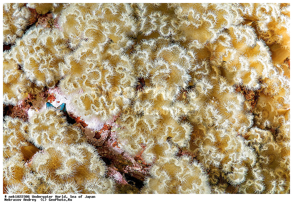 ����� �����, ����� ������, ��������, ��������� ����, ��������, �������� ����, �������� ����, ����, �����, ������, ������������, �����, �����, ��������, ��������, �������, ����, ����, �������, �������, ���, ���������, ���������, ��������� ���, �������, �������������, �������������, ������������, �������� ����