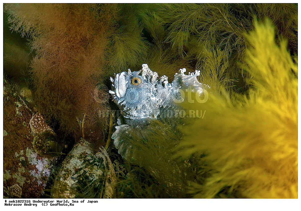 ����� �����, ����� ������, ��������, ��������� ����, ��������, �������� ����, �������� ����, ����, �����, ������, ������������, �����, �����, ��������, ��������, �������, ����, ����, �������, �������, ���, ���������, ���������, ��������� ���, �������, �������������, �������������, ������������, �������� ����, ��������, ��������, ����, ����, ��������, ��������������, ����, �������, ������