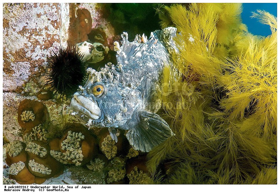 ����� �����, ����� ������, ��������, ��������� ����, ��������, �������� ����, �������� ����, ����, �����, ������, ������������, �����, �����, ��������, ��������, �������, ����, ����, �������, �������, ���, ���������, ���������, ��������� ���, �������, �������������, �������������, ������������, �������� ����, ��������, ��������, ����, ����, ��������, ��������������, ����, �������, ������