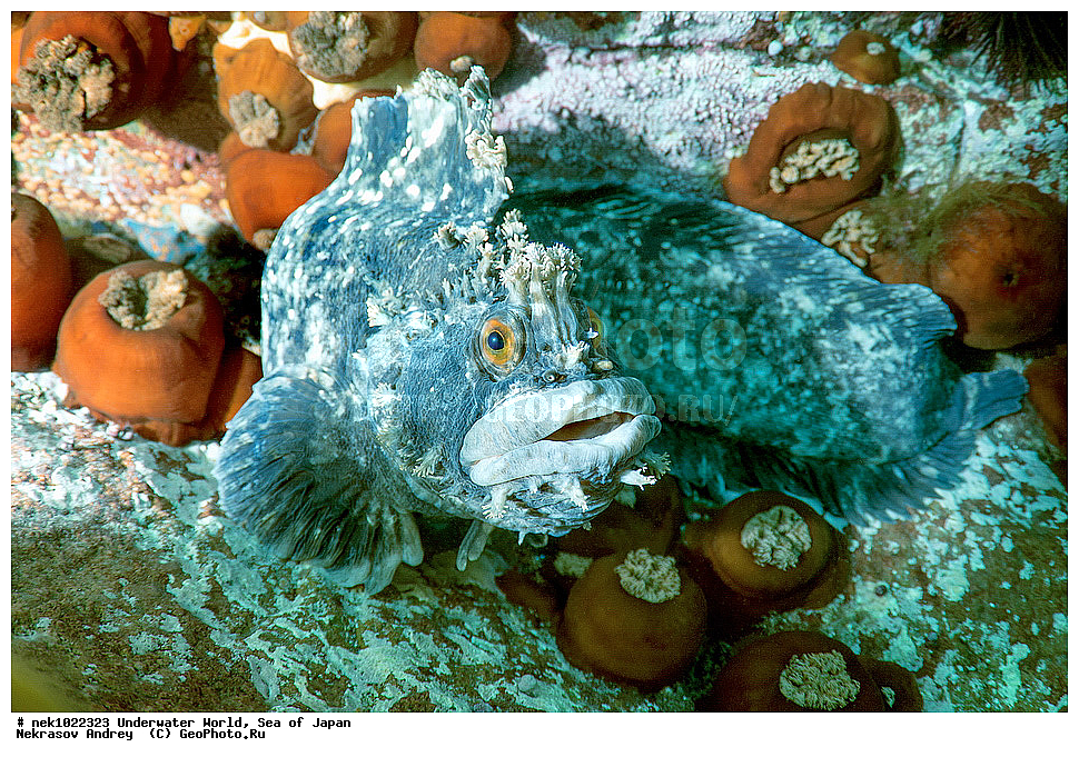 ����� �����, ����� ������, ��������, ��������� ����, ��������, �������� ����, �������� ����, ����, �����, ������, ������������, �����, �����, ��������, ��������, �������, ����, ����, �������, �������, ���, ���������, ���������, ��������� ���, �������, �������������, �������������, ������������, �������� ����, ��������, ��������, ����, ����, ��������, ��������������, ����, �������, ������