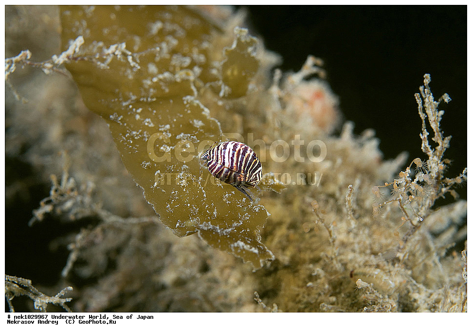 ����� �����, ����� ������, ��������, ��������� ����, ��������, �������� ����, �������� ����, ����, �����, ������, ������������, �����, �����, ��������, ��������, �������, ����, ����, �������, �������, ���, ���������, ���������, ��������� ���, �������, �������������, �������������, ������������, �������� ����