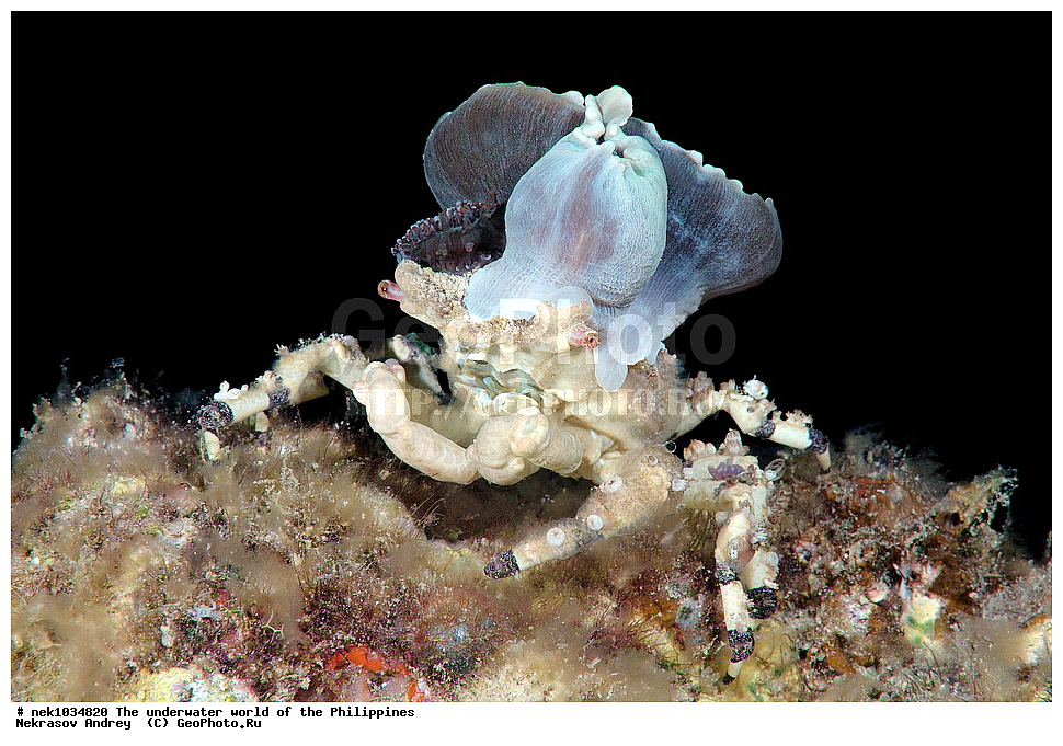 ��������� ���, ��� �����, ����, ����, ���������, ��������, �������, ����, �������, ���������� ����, ��������� �����, ����-�������������, ����-������������� �������, ����-�������������, ��������� ���������, �������, ����� �����, ���-��������� ����, �������, ������, �������, ����, ����, �����, ������, �����, ��������, ��������, �����������, ����, �������, �����, ����� , ���, ���������, ���������, ���������, ��������� ���, ��������� ���, �������, �����������, ����, ����������, ���������, ����, �����, ���� ���������