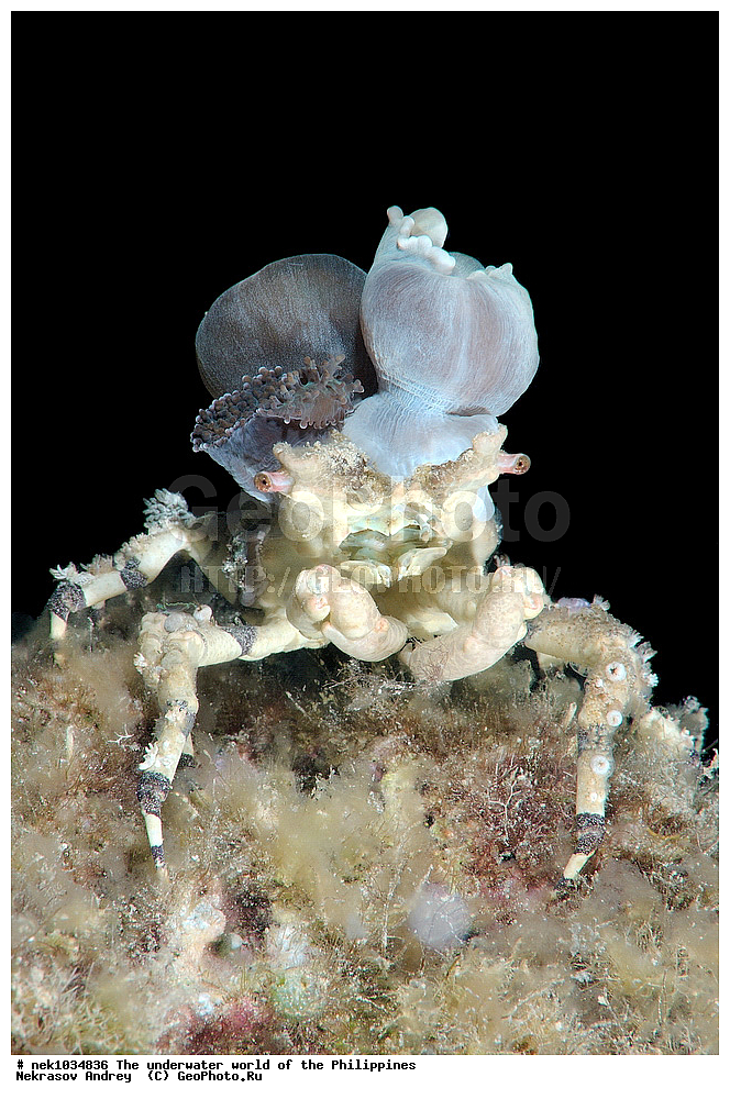 ��������� ���, ��� �����, ����, ����, ���������, ��������, �������, ����, �������, ���������� ����, ��������� �����, ����-�������������, ����-������������� �������, ����-�������������, ��������� ���������, �������, ����� �����, ���-��������� ����, �������, ������, �������, ����, ����, �����, ������, �����, ��������, ��������, �����������, ����, �������, �����, ����� , ���, ���������, ���������, ���������, ��������� ���, ��������� ���, �������, �����������, ����, ����������, ���������, ����, �����, ���� ���������