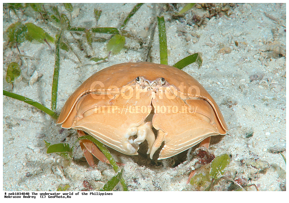 ��������� ���, ��� �����, ����, ����, ���������, ��������, �������, ����, �������, ���������� ����, ��������� �����, ����-�������������, ����-������������� �������, ����-�������������, ��������� ���������, �������, ����� �����, ���-��������� ����, �������, ������, �������, ����, ����, �����, ������, �����, ��������, ��������, �����������, ����, �������, �����, ����� , ���, ���������, ���������, ���������, ��������� ���, ��������� ���, �������, �����������, ����, ����������, ���������, ��������� ���� 