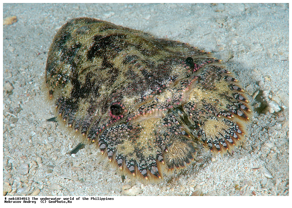 ��������� ���, ��� �����, ����, ����, ���������, ��������, �������, ����, �������, ���������� ����, ��������� �����, ����-�������������, ����-������������� �������, ����-�������������, ��������� ���������, �������, ����� �����, ���-��������� ����, �������, ������, �������, ����, ����, �����, ������, �����, ��������, ��������, �����������, ����, �������, �����, ����� , ���, ���������, ���������, ���������, ��������� ���, ��������� ���, �������, �����������, ����, ����������, ���������, ���������, ����������, ���, ����, �������, ��������, ����, �����, ���-�������, ���������� 