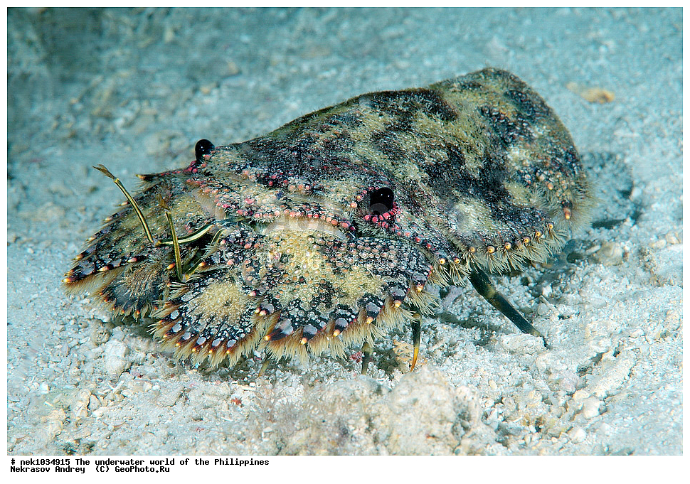 ��������� ���, ��� �����, ����, ����, ���������, ��������, �������, ����, �������, ���������� ����, ��������� �����, ����-�������������, ����-������������� �������, ����-�������������, ��������� ���������, �������, ����� �����, ���-��������� ����, �������, ������, �������, ����, ����, �����, ������, �����, ��������, ��������, �����������, ����, �������, �����, ����� , ���, ���������, ���������, ���������, ��������� ���, ��������� ���, �������, �����������, ����, ����������, ���������, ���������, ����������, ���, ����, �������, ��������, ����, �����, ���-�������, ���������� 