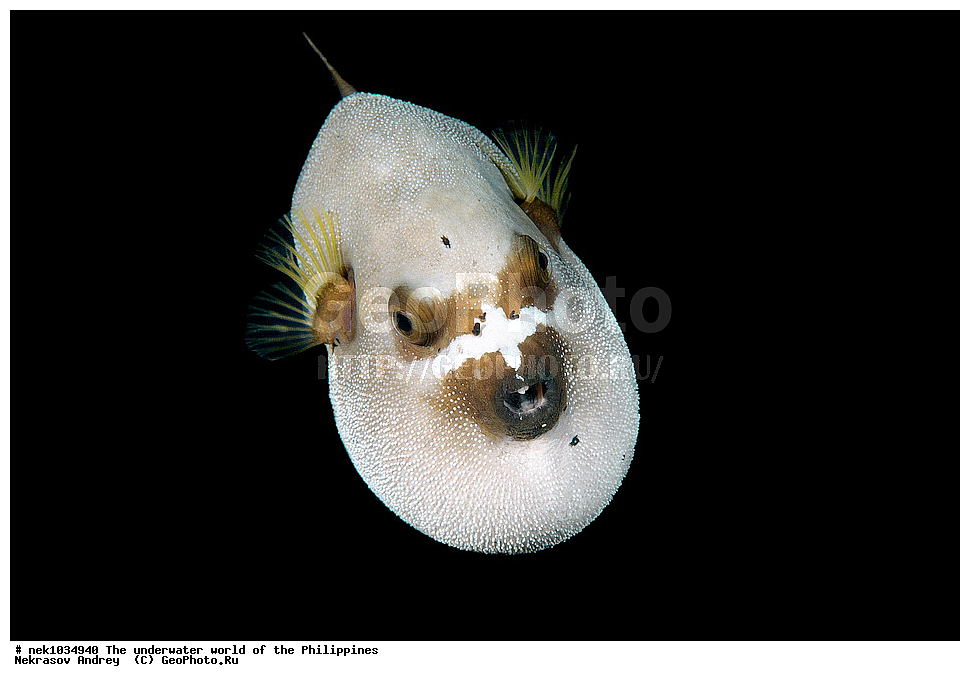 ��������� ���, ��� �����, ����, ����, ���������, ��������, �������, ����, �������, ���������� ����, ��������� �����, ����-�������������, ����-������������� �������, ����-�������������, ��������� ���������, �������, ����� �����, ���-��������� ����, �������, ������, �������, ����, ����, �����, ������, �����, ��������, ��������, �����������, ����, �������, �����, ����� , ���, ���������, ���������, ���������, ��������� ���, ��������� ���, �������, �����������, ����, ����������, ���������, ����, ����, �������, ����