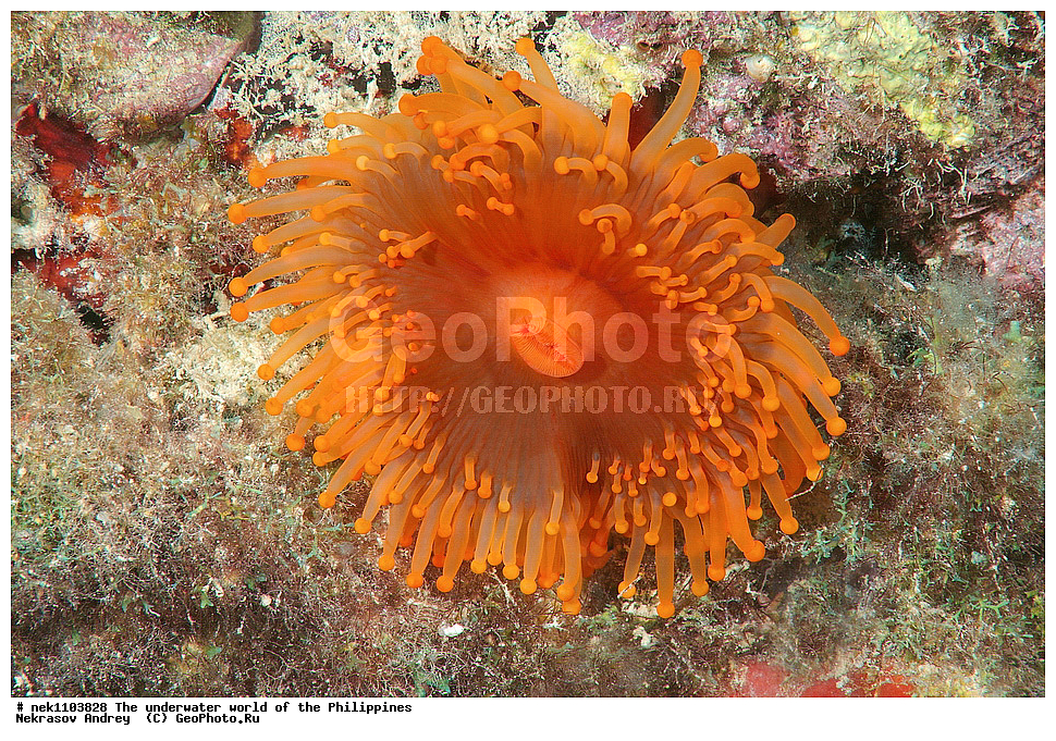 ���������, ��������� ���, ����, ���������, ����� , ���������� ����, ����-�������������, ����-������������� �������, ����-�������������, ��������� ���������, �������, ����� �����, ���-��������� ����, ����, �����, ������, �����, ��������, ��������, �����������, ����,  �������, �������, �����, ���, ���������, ���������, ��������� ���, �������,  ����, �����������, ����, ����������, ��������� �����, �������, ������, �������, ������� 