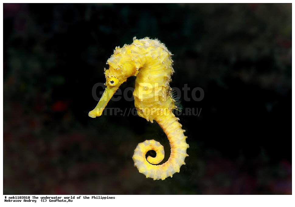 ���������, ��������� ���, ����, ���������, ����� , ���������� ����, ����-�������������, ����-������������� �������, ����-�������������, ��������� ���������, �������, ����� �����, ���-��������� ����, ����, �����, ������, �����, ��������, ��������, �����������, ����,  �������, �������, �����, ���, ���������, ���������, ��������� ���, �������,  ����, �����������, ����, ����������, ��������� �����, ����, ����, ������� ������, ������� �����, �����, ������