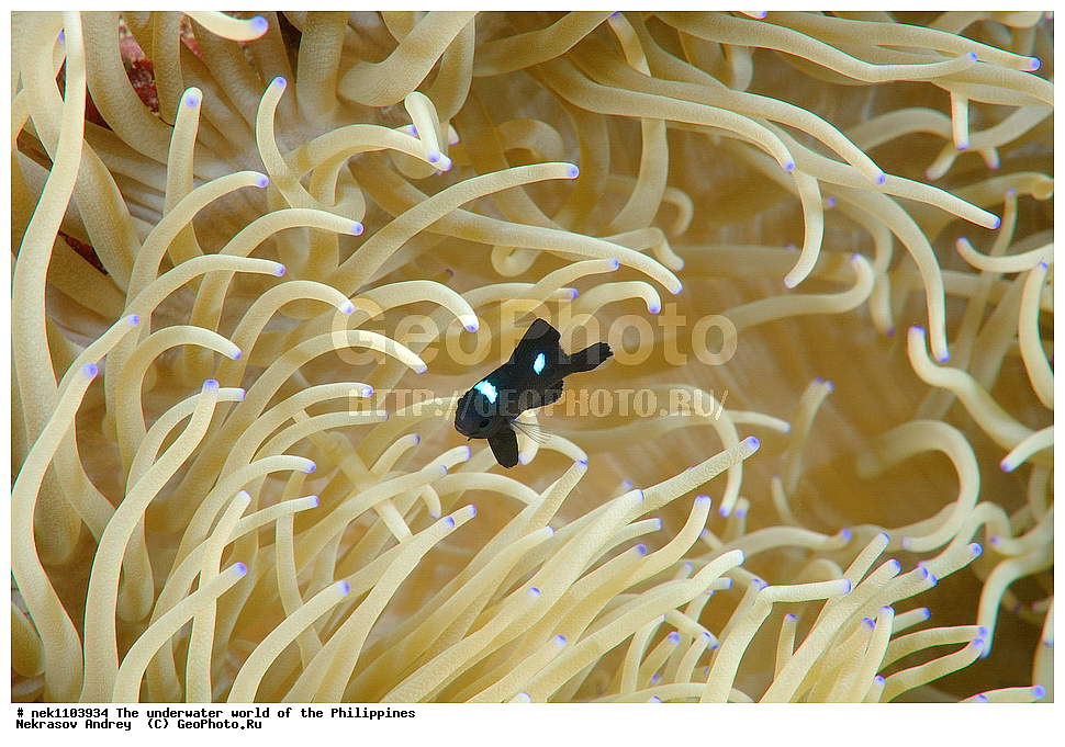 ���������, ��������� ���, ����, ���������, ����� , ���������� ����, ����-�������������, ����-������������� �������, ����-�������������, ��������� ���������, �������, ����� �����, ���-��������� ����, ����, �����, ������, �����, ��������, ��������, �����������, ����,  �������, �������, �����, ���, ���������, ���������, ��������� ���, �������,  ����, �����������, ����, ����������, ��������� �����, ����, ����, ������������ �������, �������, ��������, �������, ������ 