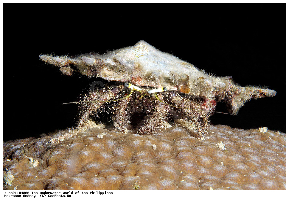 ���������, ��������� ���, ����, ���������, ����� , ���������� ����, ����-�������������, ����-������������� �������, ����-�������������, ��������� ���������, �������, ����� �����, ���-��������� ����, ����, �����, ������, �����, ��������, ��������, �����������, ����,  �������, �������, �����, ���, ���������, ���������, ��������� ���, �������,  ����, �����������, ����, ����������, ��������� �����, ���, ����, ���������, ���-���������, ����������