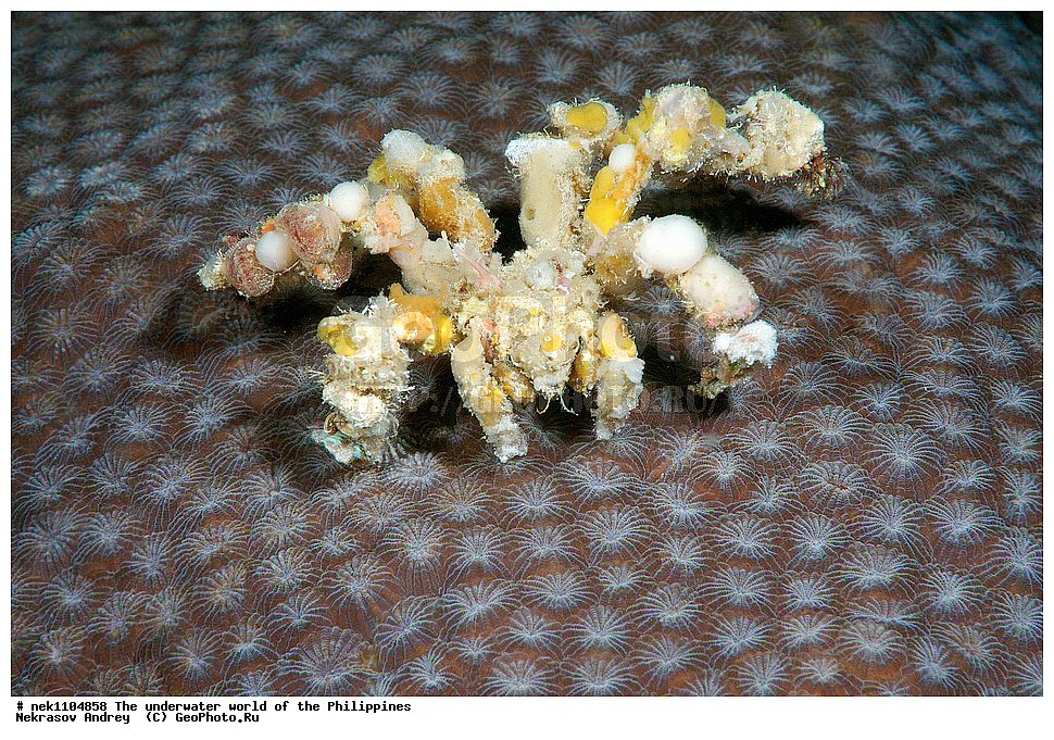 ���������, ��������� ���, ����, ���������, ����� , ���������� ����, ����-�������������, ����-������������� �������, ����-�������������, ��������� ���������, �������, ����� �����, ���-��������� ����, ����, �����, ������, �����, ��������, ��������, �����������, ����,  �������, �������, �����, ���, ���������, ���������, ��������� ���, �������,  ����, �����������, ����, ����������, ��������� �����, ���� ���������, ����, �����