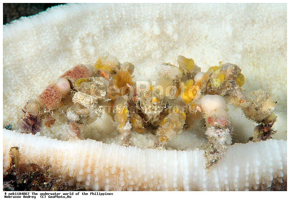 ���������, ��������� ���, ����, ���������, ����� , ���������� ����, ����-�������������, ����-������������� �������, ����-�������������, ��������� ���������, �������, ����� �����, ���-��������� ����, ����, �����, ������, �����, ��������, ��������, �����������, ����,  �������, �������, �����, ���, ���������, ���������, ��������� ���, �������,  ����, �����������, ����, ����������, ��������� �����, ���� ���������, ����, �����