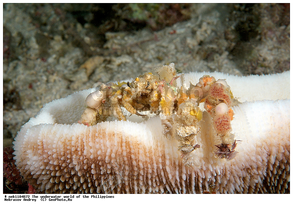 ���������, ��������� ���, ����, ���������, ����� , ���������� ����, ����-�������������, ����-������������� �������, ����-�������������, ��������� ���������, �������, ����� �����, ���-��������� ����, ����, �����, ������, �����, ��������, ��������, �����������, ����,  �������, �������, �����, ���, ���������, ���������, ��������� ���, �������,  ����, �����������, ����, ����������, ��������� �����, ���� ���������, ����, �����