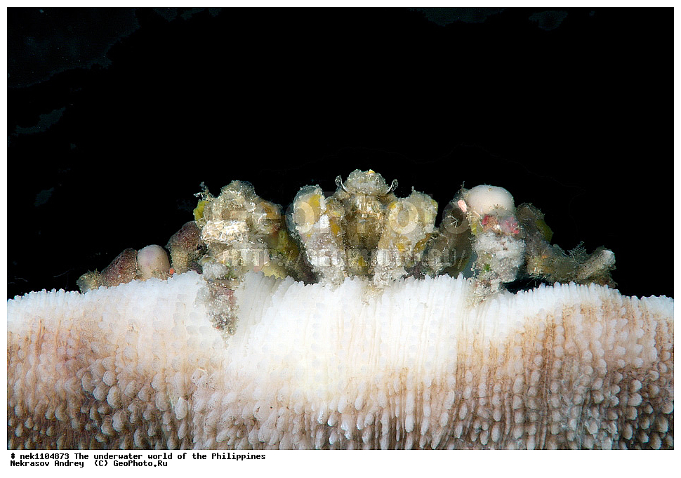 ���������, ��������� ���, ����, ���������, ����� , ���������� ����, ����-�������������, ����-������������� �������, ����-�������������, ��������� ���������, �������, ����� �����, ���-��������� ����, ����, �����, ������, �����, ��������, ��������, �����������, ����,  �������, �������, �����, ���, ���������, ���������, ��������� ���, �������,  ����, �����������, ����, ����������, ��������� �����, ���� ���������, ����, �����