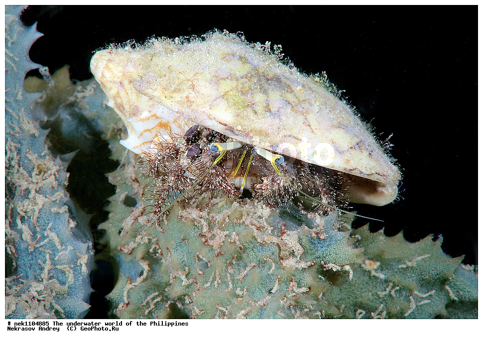 ���������, ��������� ���, ����, ���������, ����� , ���������� ����, ����-�������������, ����-������������� �������, ����-�������������, ��������� ���������, �������, ����� �����, ���-��������� ����, ����, �����, ������, �����, ��������, ��������, �����������, ����,  �������, �������, �����, ���, ���������, ���������, ��������� ���, �������,  ����, �����������, ����, ����������, ��������� �����, ���, ����, ���������, ���-���������, ����������