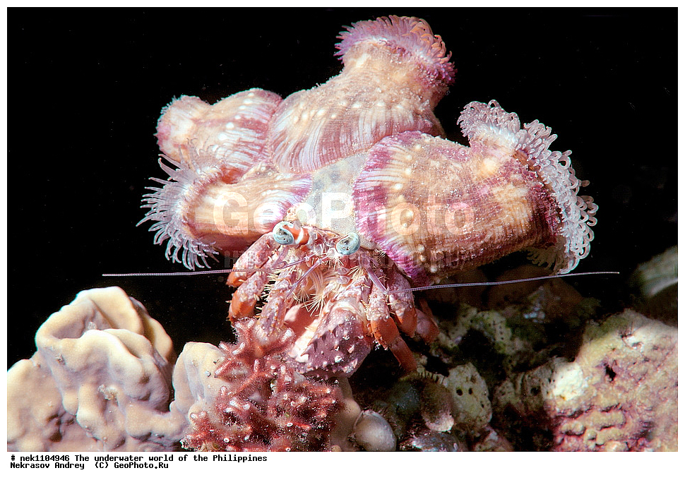 ���������, ��������� ���, ����, ���������, ����� , ���������� ����, ����-�������������, ����-������������� �������, ����-�������������, ��������� ���������, �������, ����� �����, ���-��������� ����, ����, �����, ������, �����, ��������, ��������, �����������, ����,  �������, �������, �����, ���, ���������, ���������, ��������� ���, �������,  ����, �����������, ����, ����������, ��������� �����, ���, ����, ���������, ���-���������, ����������