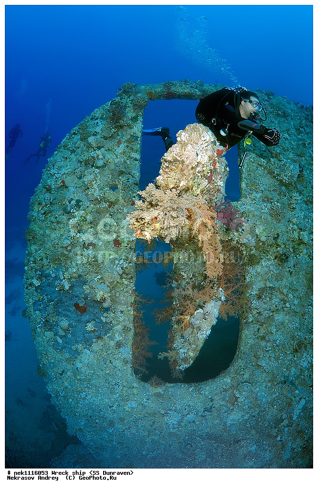 ���������� �����, �����, ��������� ����������, ����, ������, ������� ����, ������-������� �������, �������, ����������, ���������������, �������, ���������� �������, ��������, ������, �����, ����, ���, ���������� �����, ������� ����, ������� ����, ������, ��������, ���������, ����, ����, �������, �����, ����� �� ����, �����, �������, ����������, ����������, ����������, ���������� ������, �����������, ������������, �������, ���������������, �������, ��������, ����, �����, ��� �����, ���������, ���������, ���������, ��������� ���, ���, ���-�������, ����, �����, ������, ����������, �������, ��������