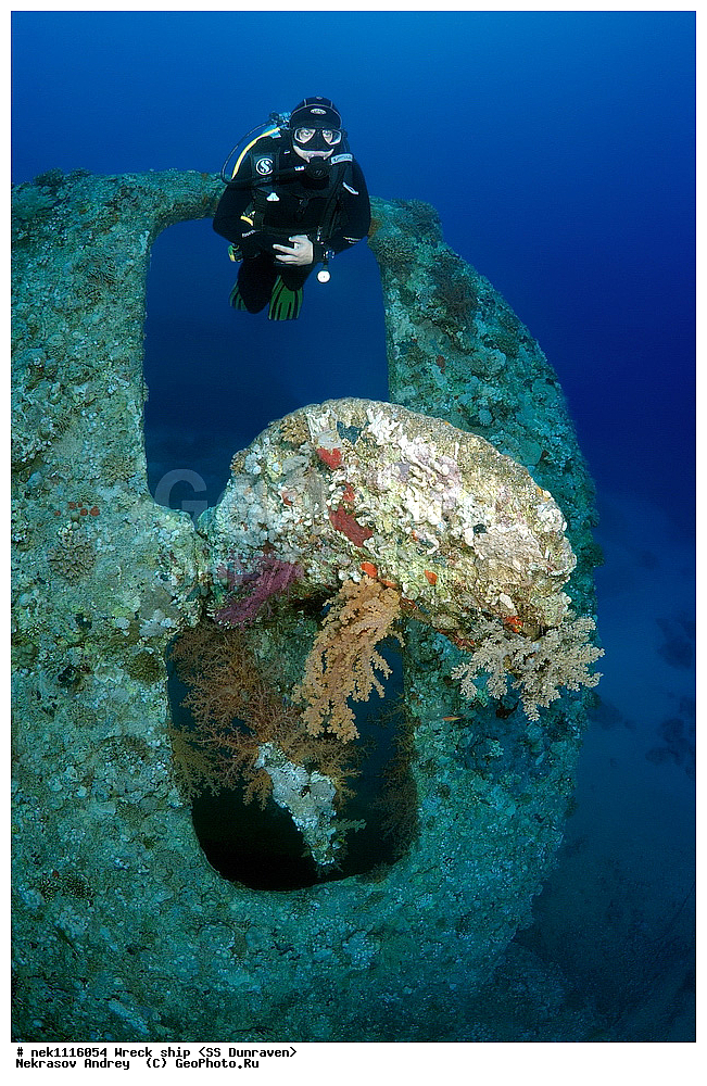 ���������� �����, �����, ��������� ����������, ����, ������, ������� ����, ������-������� �������, �������, ����������, ���������������, �������, ���������� �������, ��������, ������, �����, ����, ���, ���������� �����, ������� ����, ������� ����, ������, ��������, ���������, ����, ����, �������, �����, ����� �� ����, �����, �������, ����������, ����������, ����������, ���������� ������, �����������, ������������, �������, ���������������, �������, ��������, ����, �����, ��� �����, ���������, ���������, ���������, ��������� ���, ���, ���-�������, ����, �����, ������, ����������, �������, ��������