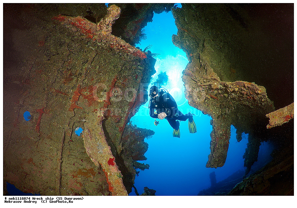 ���������� �����, �����, ��������� ����������, ����, ������, ������� ����, ������-������� �������, �������, ����������, ���������������, �������, ���������� �������, ��������, ������, �����, ����, ���, ���������� �����, ������� ����, ������� ����, ������, ��������, ���������, ����, ����, �������, �����, ����� �� ����, �����, �������, ����������, ����������, ����������, ���������� ������, �����������, ������������, �������, ���������������, �������, ��������, ����, �����, ��� �����, ���������, ���������, ���������, ��������� ���, ���, ���-�������, ����, �����, ������, ����������, �������, ��������