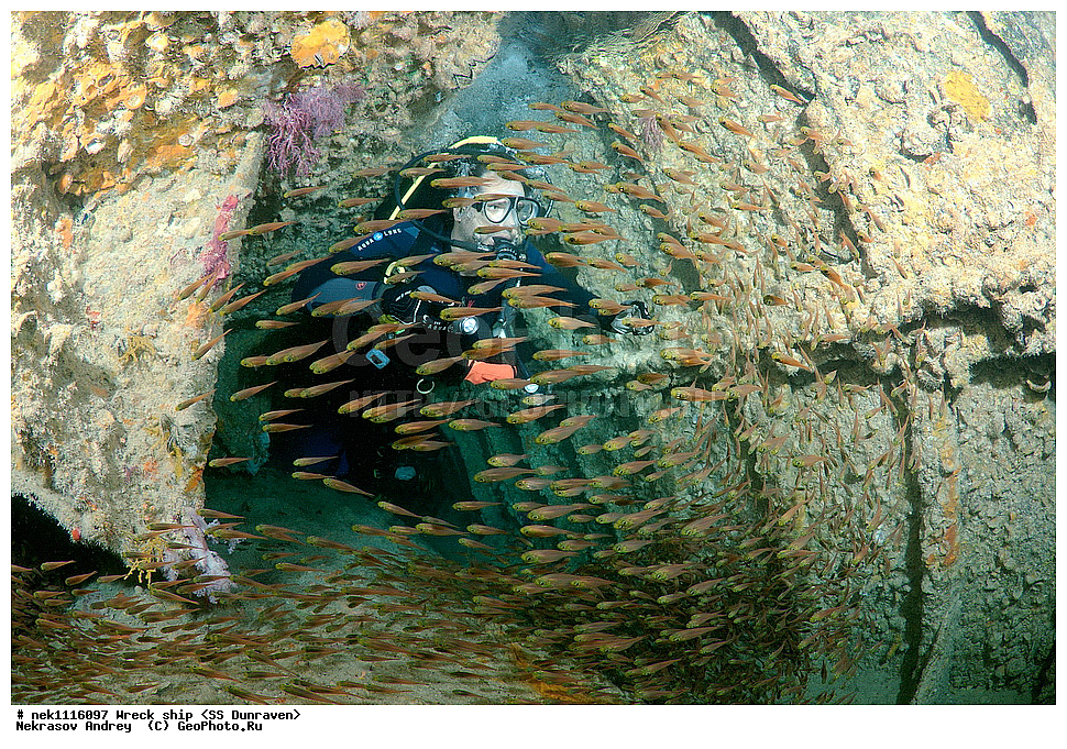 ���������� �����, �����, ��������� ����������, ����, ������, ������� ����, ������-������� �������, �������, ����������, ���������������, �������, ���������� �������, ��������, ������, �����, ����, ���, ���������� �����, ������� ����, ������� ����, ������, ��������, ���������, ����, ����, �������, �����, ����� �� ����, �����, �������, ����������, ����������, ����������, ���������� ������, �����������, ������������, �������, ���������������, �������, ��������, ����, �����, ��� �����, ���������, ���������, ���������, ��������� ���, ���, ���-�������, ����, �����, ������, ����, ���, ����, ����, ���������, ���������, ����-���������, ���������� ����, ����������, ����������, �������, ��������