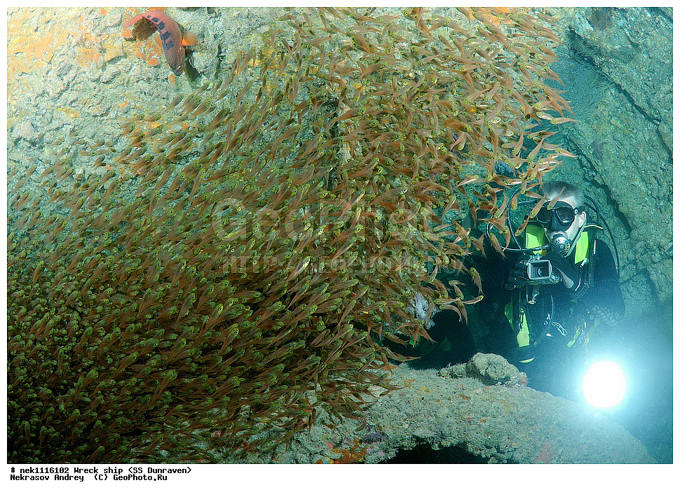 ���������� �����, �����, ��������� ����������, ����, ������, ������� ����, ������-������� �������, �������, ����������, ���������������, �������, ���������� �������, ��������, ������, �����, ����, ���, ���������� �����, ������� ����, ������� ����, ������, ��������, ���������, ����, ����, �������, �����, ����� �� ����, �����, �������, ����������, ����������, ����������, ���������� ������, �����������, ������������, �������, ���������������, �������, ��������, ����, �����, ��� �����, ���������, ���������, ���������, ��������� ���, ���, ���-�������, ����, �����, ������, ����, ���, ����, ����, ���������, ���������, ����-���������, ���������� ����, ����������, ����������, �������, ��������