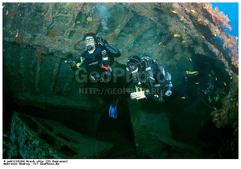 ���������� �����, �����, ��������� ����������, ����, ������, ������� ����, ������-������� �������, �������, ����������, ���������������, �������, ���������� �������, ��������, ������, �����, ����, ���, ���������� �����, ������� ����, ������� ����, ������, ��������, ���������, ����, ����, �������, �����, ����� �� ����, �����, �������, ����������, ����������, ����������, ���������� ������, �����������, ������������, �������, ���������������, �������, ��������, ����, �����, ��� �����, ���������, ���������, ���������, ��������� ���, ���, ���-�������, ����, �����, ������, ����������, �������, ��������