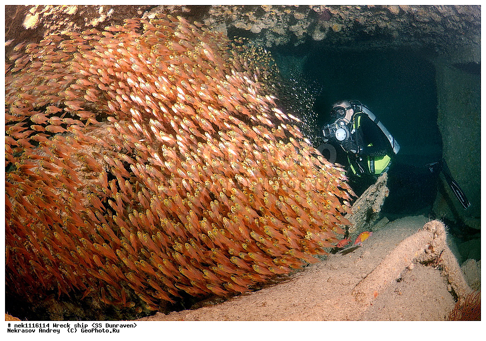 ���������� �����, �����, ��������� ����������, ����, ������, ������� ����, ������-������� �������, �������, ����������, ���������������, �������, ���������� �������, ��������, ������, �����, ����, ���, ���������� �����, ������� ����, ������� ����, ������, ��������, ���������, ����, ����, �������, �����, ����� �� ����, �����, �������, ����������, ����������, ����������, ���������� ������, �����������, ������������, �������, ���������������, �������, ��������, ����, �����, ��� �����, ���������, ���������, ���������, ��������� ���, ���, ���-�������, ����, �����, ������, ����, ���, ����, ����, ���������, ���������, ����-���������, ���������� ����, ����������, ����������, �������, ��������