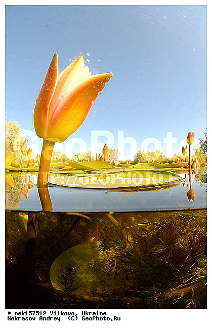 �������, �������� �����������, �������� ������-�����, �������� �����-�����, �������� ����������, �����������, �������� �������, ������������ ������, �������, ������, �������, �����, �������, ��������, �������� �����, ����������, ����, ���������, �����, ����, ����. ����, �������, ������