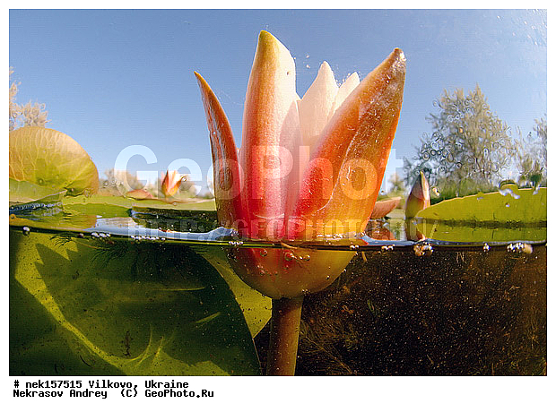 �������, �������� �����������, �������� ������-�����, �������� �����-�����, �������� ����������, �����������, �������� �������, ������������ ������, �������, ������, �������, �����, �������, ��������, �������� �����, ����������, ����, ���������, �����, ����, ����. ����, �������, ������