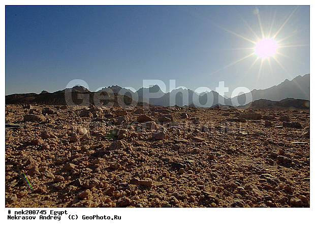 ���������� �������, ������, �����������, �����������, �����������, ������, �������, ������, ������, �, ���������, ������ ������, ����������, ����������, ����������, ����������, ����������, ������, ��������, ������, ���������, ���������, ����, ������� ���������, ������� ������, ��, �����, ����������, ������, ���������, ������, �����, ������, �����, �������, �������, �������, �����������, ������, ������, ������ � �����, �������������, �������������, �������������, �������������, �������