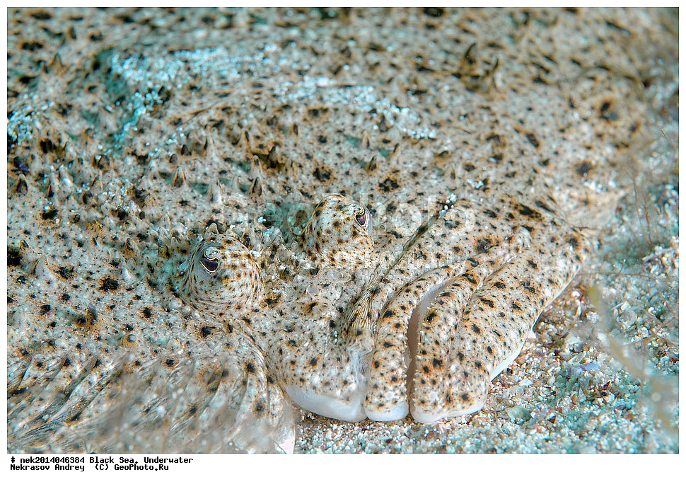 ������ ����, ��������� ��� , ���, �����, ���������, ����������, ���������, ���, ��������, ��������, �����, �������, ������������, �����, �����, �������������, ����, ������������, ����������, ���, ���������, ��������, ��������, ������, ����������, ����, ����, �������, ���, �����, �����, ���������, ���������, �������, �������, �����, ����, �������, ������, ������, ������������, ����, ����, ��������, ������, ��������, ����  , ������