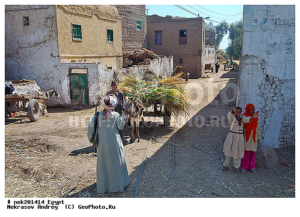 , ������, �����������, �����������, �����������, ����, ������, ������, �, ���������, �������, ������ ������, ����������, ����������, ����������, ����������, ����������, ��������, ������, ���������, ���������, ��, ������, �����, ������, ���������, �������, �������, �����������, ����, ���� ���, ����, ������, ������, ������ � �����, �������������, �������������, �������������, �������������