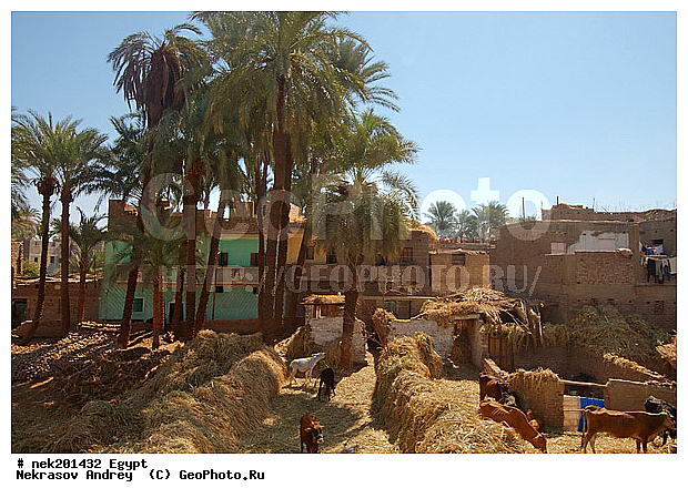 , ������, �����������, �����������, �����������, ����, ������, ������, �, ���������, �������, ������ ������, ����������, ����������, ����������, ����������, ����������, ��������, ������, ���������, ���������, ��, ������, �����, ������, ���������, �������, �������, �����������, ����, ���� ���, ����, ������, ������, ������ � �����, �������������, �������������, �������������, �������������