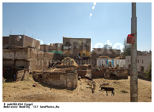 , ������, �����������, �����������, �����������, ����, ������, ������, �, ���������, �������, ������ ������, ����������, ����������, ����������, ����������, ����������, ��������, ������, ���������, ���������, ��, ������, �����, ������, ���������, �������, �������, �����������, ����, ���� ���, ����, ������, ������, ������ � �����, �������������, �������������, �������������, �������������